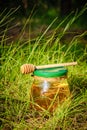 Barrel honey and spoon for honey in summer green grass