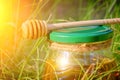 Barrel honey and spoon for honey in summer green grass