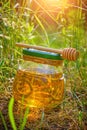 Barrel honey and spoon for honey in summer green grass