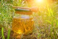Barrel honey and spoon for honey in summer green grass