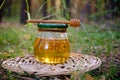 Barrel honey and spoon for honey in summer green grass