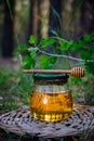 Barrel honey and spoon for honey in summer green grass