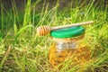 Barrel honey and spoon for honey in summer green grass