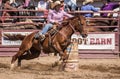 Barrel Racer