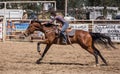 Barrel Racer Royalty Free Stock Photo