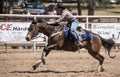 Barrel Racer Sprints to the Finish Royalty Free Stock Photo