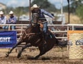 Barrel Racing Cowgirl