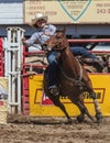 Barrel Racing Cowgirl