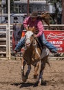 Barrel Racing Sprint Royalty Free Stock Photo