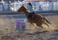 Barrel riding cowgirl