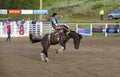 Barrel riding cowgirl