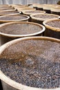 Barrel of soy bean Royalty Free Stock Photo