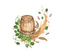 Barrel with splashes of beer, hops and ears of wheat watercolor