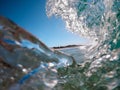 In the barrel of a wave, the greenroom of the surf. On the coast of Australia Royalty Free Stock Photo