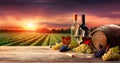 Barrel Wineglasses And Bottle In Vineyard Royalty Free Stock Photo