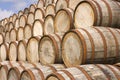 Barrels in the distillery Royalty Free Stock Photo