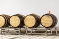 Barrels with fermenting wine stand indoors Royalty Free Stock Photo