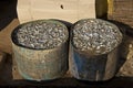 Barrels with fresh fish for curing in salt water