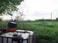 Barrels of industrial waste near the green tree and reeds. The concept of pollution of nature and storage of toxic products Royalty Free Stock Photo