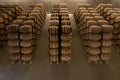 Barrels in a row in a Rioja Alavesa winery Royalty Free Stock Photo