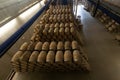 Barrels in a row in a Rioja Alavesa winery Royalty Free Stock Photo