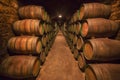 Barrels row in a Rioja winery Royalty Free Stock Photo