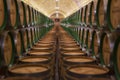 Barrels row in a Rioja winery Royalty Free Stock Photo