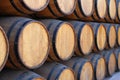 Barrels of wine Royalty Free Stock Photo