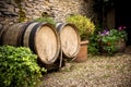 Barrels for wine in Burgundy. France. Royalty Free Stock Photo