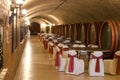 Barrels in a wine-cellar. Royalty Free Stock Photo