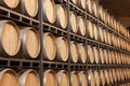 Barrels of wine in cellar