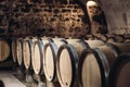 Barrels in a wine cellar Royalty Free Stock Photo