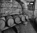 Barrels of wine in a wine cellar. Black and white Royalty Free Stock Photo