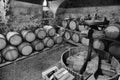 Barrels of wine in a wine cellar. Black and white Royalty Free Stock Photo