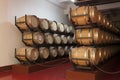 Barrels in the wine cellar photo - Shabo, Odessa region, Ukraine, June 20, 2017 Royalty Free Stock Photo