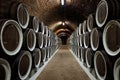 Barrels in the wine cellar Royalty Free Stock Photo