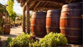 barrels of wine, fresh grapes, lifestyle classic brown alcohol season darkness agriculture organic