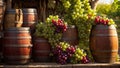 barrels of wine, fresh grapes, lifestyle ripe rural classic brown alcohol season darkness agriculture organic