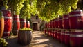 barrels of wine, fresh grapes, natural classic brown alcohol season darkness agriculture organic