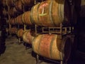 Barrels of wine in winery cellar Royalty Free Stock Photo