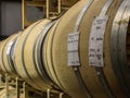 Barrels of wine in winery cellar Royalty Free Stock Photo