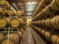 Barrels of wine in winery cellar Royalty Free Stock Photo