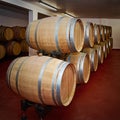 Barrels with Wine Royalty Free Stock Photo