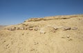 Barren desert landscape in hot climate with fossil skeleton