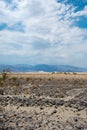 Barren desert sandy landscape of Death Valley National Park in California with sagebrush, rocks and the mesquite sand dunes Royalty Free Stock Photo