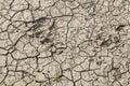 Barren Desolate Dry Cracked Soil Surface Royalty Free Stock Photo