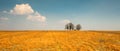 Barren Dutch landscape near Den Ham Twente, Overijssel in April Royalty Free Stock Photo