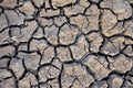 Barren earth. Dry cracked earth background. Cracked mud pattern. Soil In cracks.Creviced texture.Drought land. Environment drought Royalty Free Stock Photo