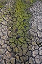 Barren earth. Dry cracked earth background. Cracked mud pattern. Soil In cracks.Creviced texture.Drought land. Environment drought Royalty Free Stock Photo