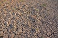 Barren earth. Dry cracked earth background. Cracked mud pattern. Soil In cracks.Creviced texture.Drought land. Environment drought Royalty Free Stock Photo